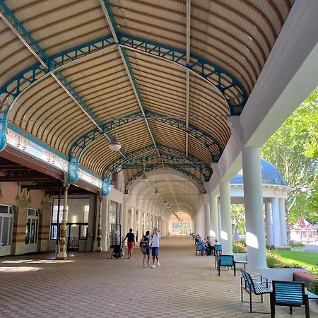 Charming With Roof Terrace In Vittel
